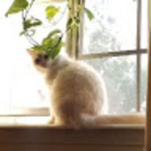 Meet your Posher, Angela